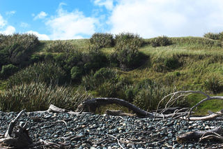 Orepuke beach