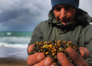 James at Tihaka beach