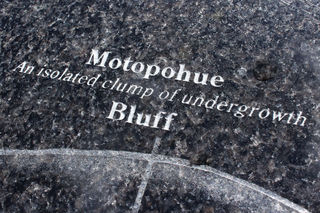 Bluff = Motopohue - An isolated clump of undergrowth