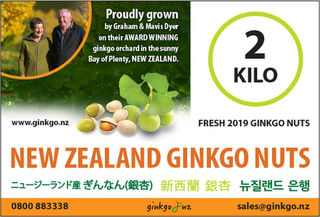 2 Kilo's Fresh Ginkgo Nuts