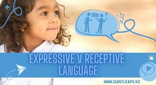 WHAT IS THE DIFFERENCE BETWEEN EXPRESSIVE & RECEPTIVE LANGUAGE?