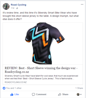 Zee Zee Top - Men's Cycle Jersey - RoadCycle.co.nz Review