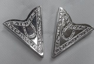 Western Silver Tone Collar Tips