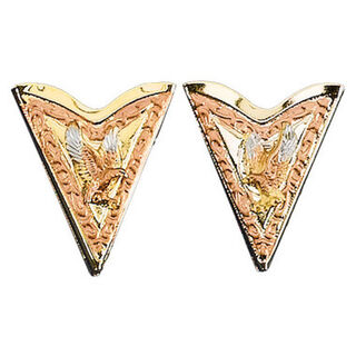 Western Gold Two Tone Collar Tips