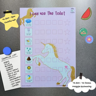 MAGNETIC CHARTS 70% OFF | FinndieLoo