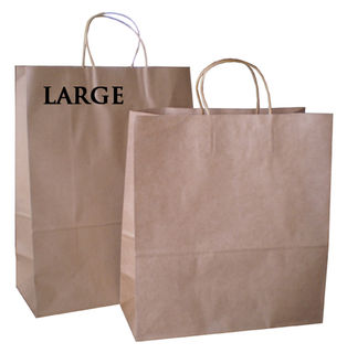 Brown Paper Bag large
