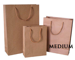 Paper Carry Bag medium cord handle
