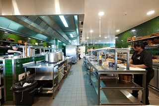Te Puia Project