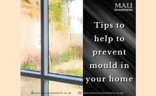 Tips to prevent mould.