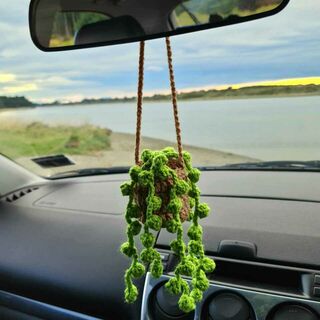 Crocheted Hanging String of Pearls Car Plant - Green with Light Brown Pot