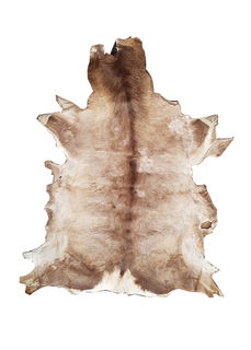 Deer Skin #1 Large (1.92m x 1.55m)