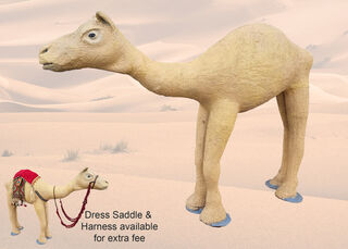 Camel/Dromedar (L: 2.4m x H: 1.7m D: 0.4m)