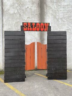 Saloon Doors & Panels (H: 2.9m x W: 3.0m)