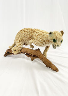 Stuffed Wild Cat on Branch (H: 27cm W: 56cm)