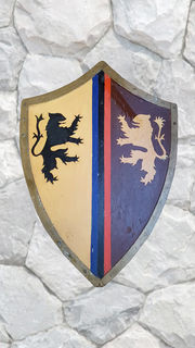 Shield Medieval Opposing Lions (H: 80cm W: 60cm)