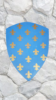 Shield Medieval Fluer De Lis (H: 80cm W: 60cm)