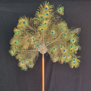 Peacock Feather Fan (H: 2.2m)