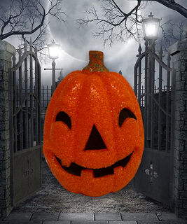 Jack o’Lantern Pumpkin Sparkling Orange