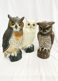Owl Birds Assorted (H: 0.4m)