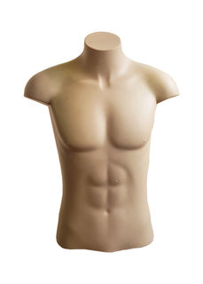 Torso #14 Male Nude (H: 0.75m)