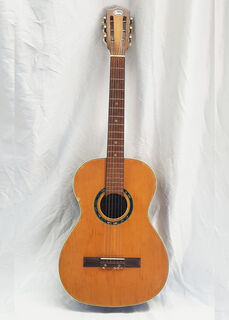 Acoustic Guitar (standard size)