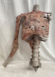 Decomposing Skeleton Torso (H: 60cm x W: 30cm)