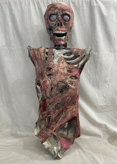 Decomposing Skeleton Torso w/ Head (H: 76cm x W: 30cm)