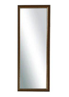 Mirror #38 Rectangle Gold Frame (H: 1m x 0.4m)
