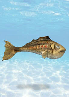 Cartoon Fish Medium Gold (L: 70cm H: 30cm)
