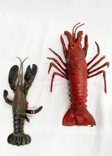Crayfish/Lobster (L: 30-38cm)