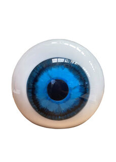 Large Eyeball (H: 0.35m D: 0.35m)