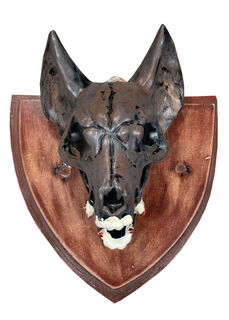 Mounted Animal Skull (H: 20cm x W: 19cm)