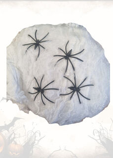 Spider Web Small 40G