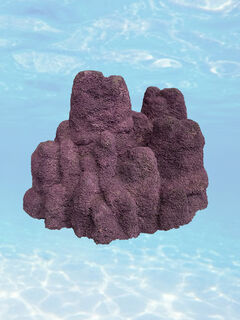 Coral - Purple (H: 50cm x W: 45cm x L: 40cm)