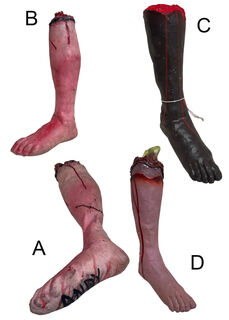 Body Parts - 1/2 Leg Assorted