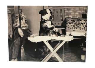 Dogs Ironing - Black & White Poster (H: 55cm x W: 76cm)