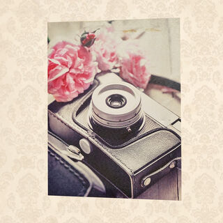 Canvas Print Camera  (H: 40cm x W: 30cm)