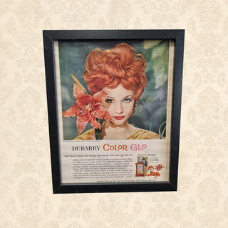 Retro Hair Dye Ad - Dubarry Color Glo Framed Print (H: 27cm x W: 22cm)