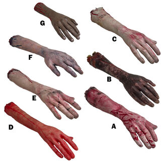 Body Parts - Arm Assorted