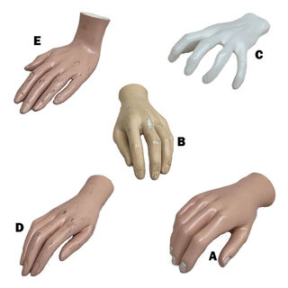 Body Parts - Hand Assorted
