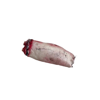 Body Parts - Thigh