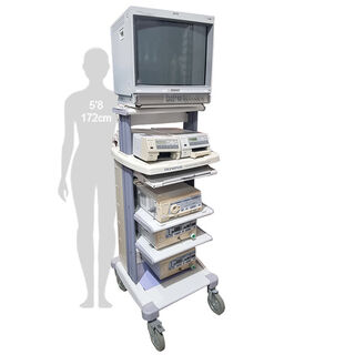 Medical Equipment Stand On Wheels (H: 185cm x W: 54cm x D: 56cm)