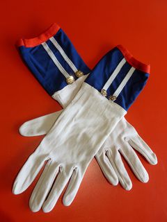 Novelty Gloves Assorted