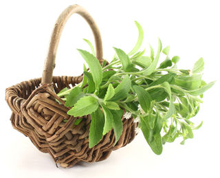 Stevia: How Sweet Are You?