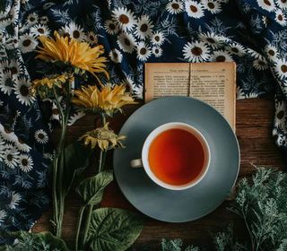 Tea Quotes for Tea Lovers