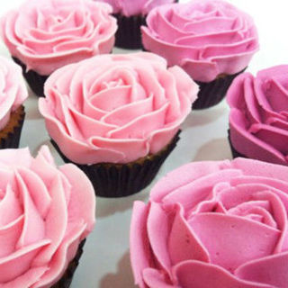 Mini Ombre Rose Cupcakes 