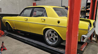 Coyote XT Falcon
