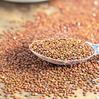 Quinoa Red 1kg
