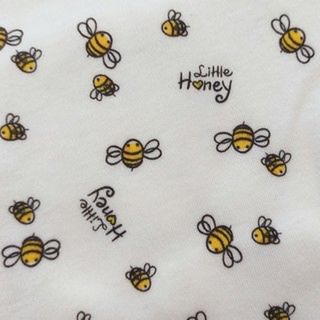 Little Honey Bee