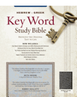 KJV Hebrew-Greek Key Word Study Bible, Bonded Leather